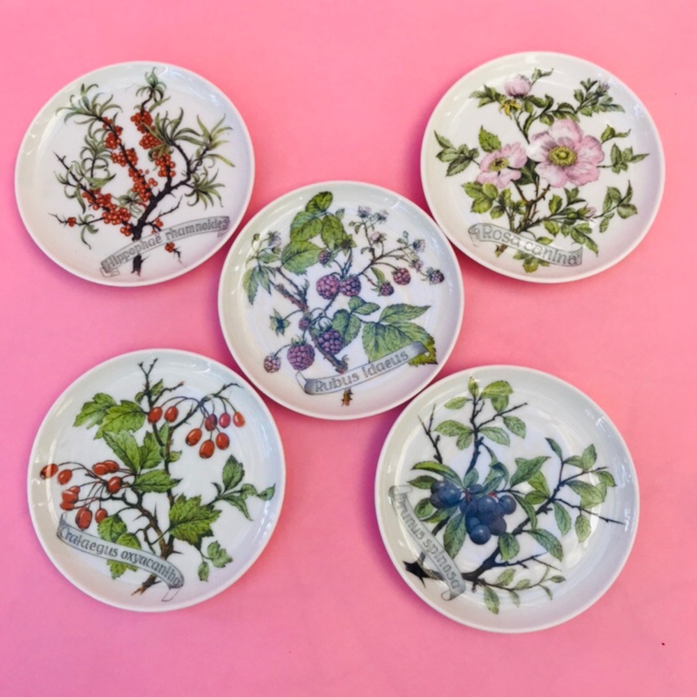 Vintage Kaiser W Germany saucers